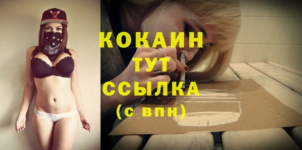 спиды Верея