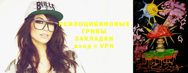 спиды Верея