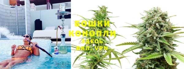 спиды Верея