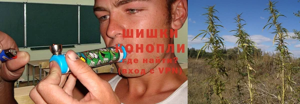 spice Мегион