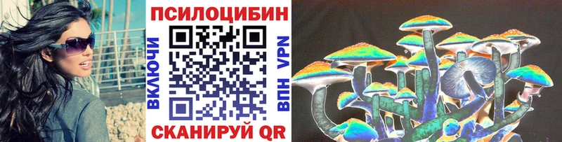купить наркотики цена  Вытегра  ссылка на мегу tor  Галлюциногенные грибы прущие грибы 